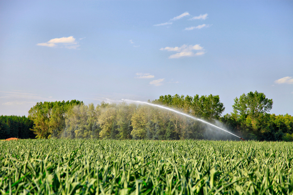 Beregnung, Schlauch, teilortfeste Bewässerungssysteme, bewegliche Bewässerungssysteme, Agri Schlauch, innen und außen gummierter Schlauch, effiziente Bewässerung, langlebige Bewässerungsschläuche, flexible Bewässerungslösungen, robust und widerstandsfähig, Landwirtschaftsbewässerung, präzise Wasserverteilung, effiziente Ressourcennutzung