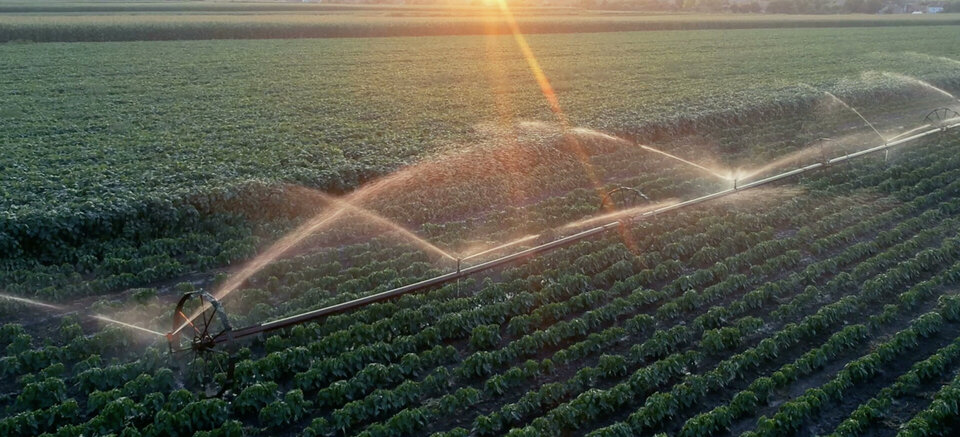 Beregnung, Schlauch, teilortfeste Bewässerungssysteme, bewegliche Bewässerungssysteme, Agri Schlauch, innen und außen gummierter Schlauch, effiziente Bewässerung, langlebige Bewässerungsschläuche, flexible Bewässerungslösungen, robust und widerstandsfähig, Landwirtschaftsbewässerung, präzise Wasserverteilung, effiziente Ressourcennutzung