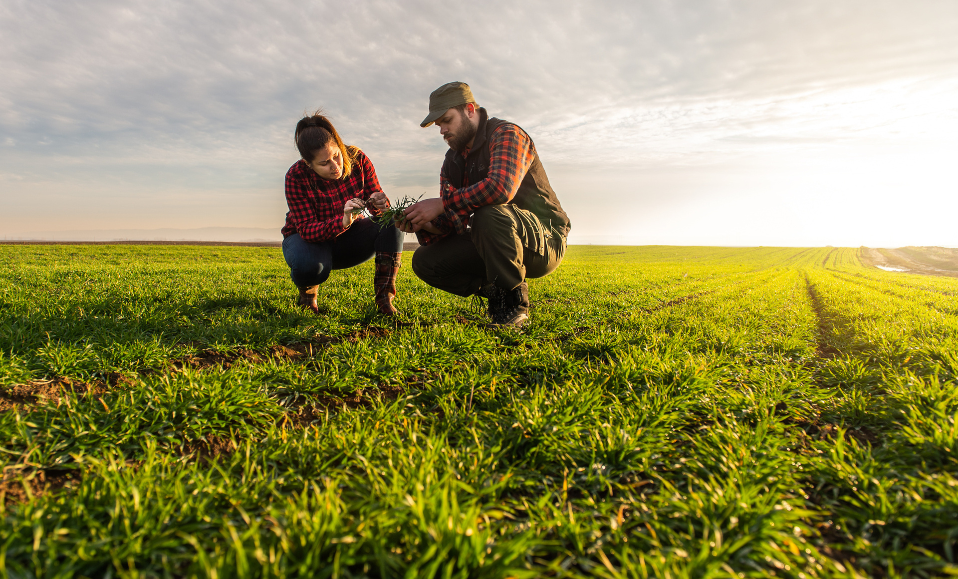 Landwirtschaft, Gülleverschlauchung, PU-extrudierter Schlauch, langlebige Schläuche, Eschbach, widerstandsfähige Schläuche, robuste Gülleverschlauchung, flexible Schläuche, hohe Belastbarkeit, langlebige Materialien, landwirtschaftliche Anwendungen, Agrarindustrie, effiziente Gülleausbringung